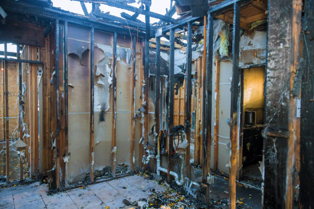 Professional Fire Damage Repair technician working in Point of Rocks, MD